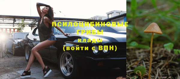 бошки Баксан