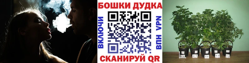 Конопля MAZAR  наркошоп  mega ТОР  Сенгилей 